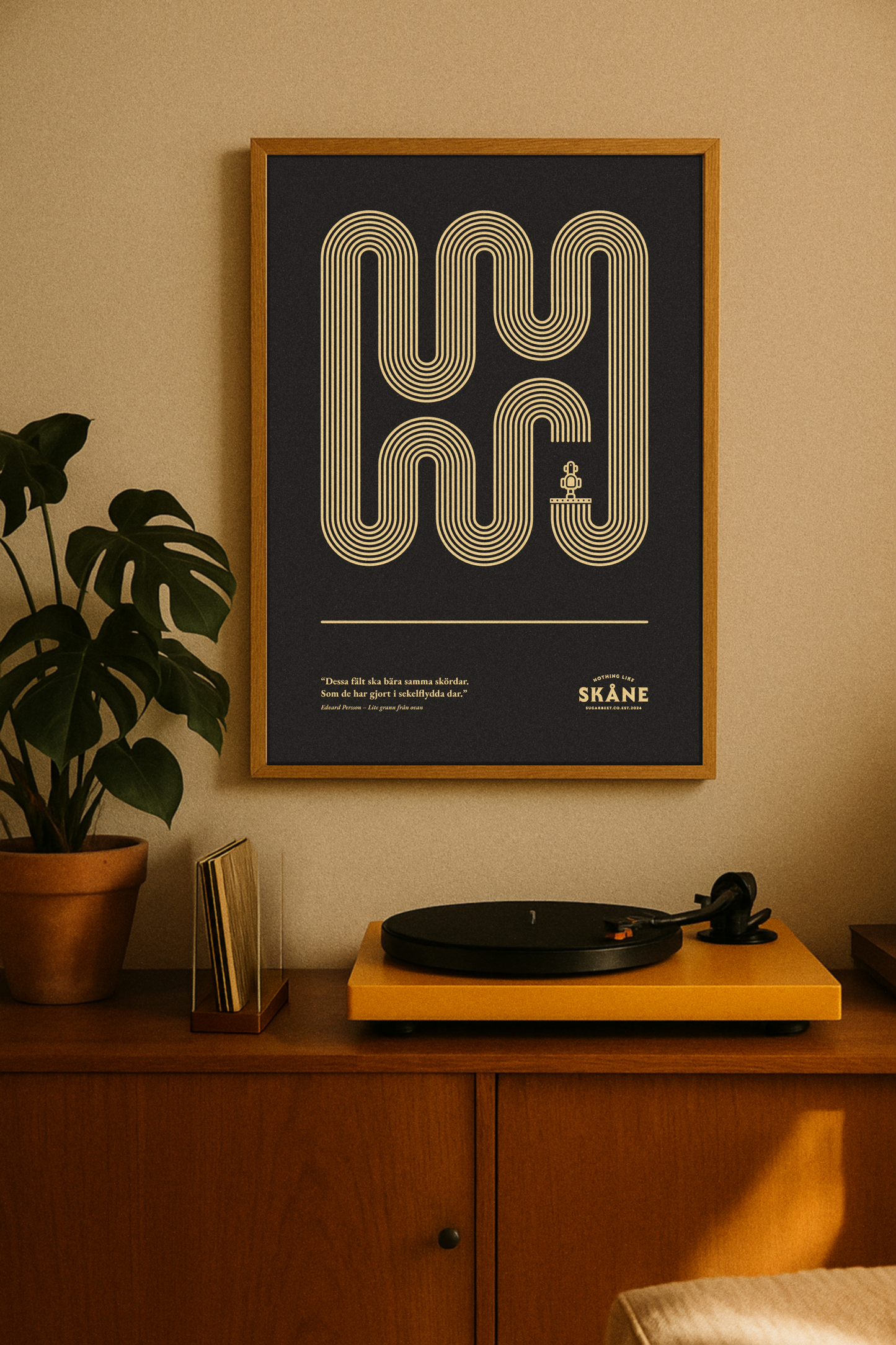 Fält - Lite grann från ovan